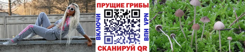 Галлюциногенные грибы мухоморы  Черногорск 