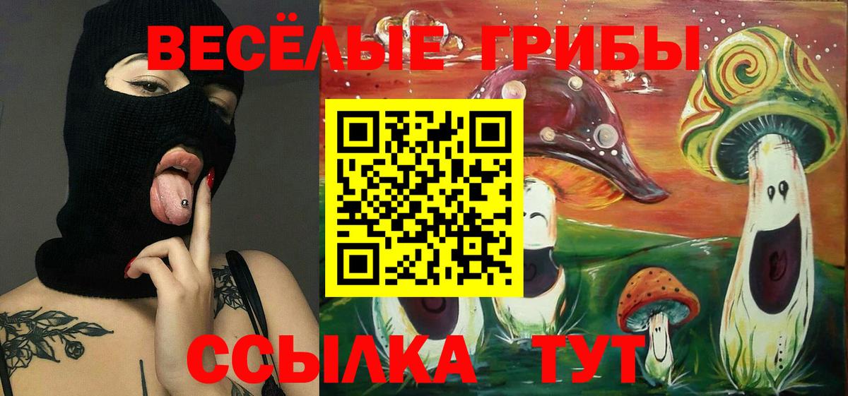 купить   Вход с VPN  Черногорск  Галлюциногенные грибы прущие грибы 