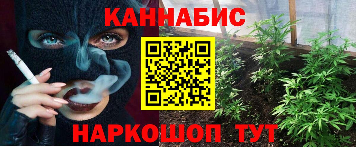 Бошки Шишки тримм Черногорск